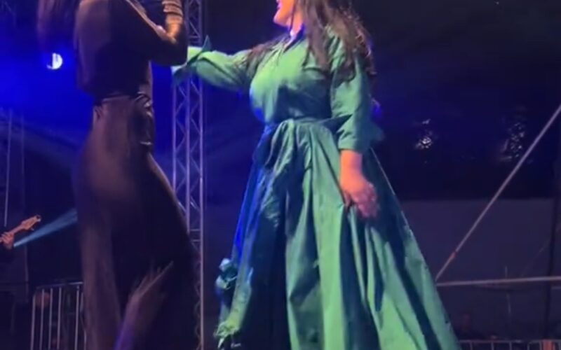 Spectacol memorabil la BanatON Fest: Diana Bucșa, artista din România care a urcat pe scenă alături de Dragana Mirković